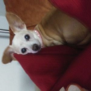 Meet your Posher, Cathy